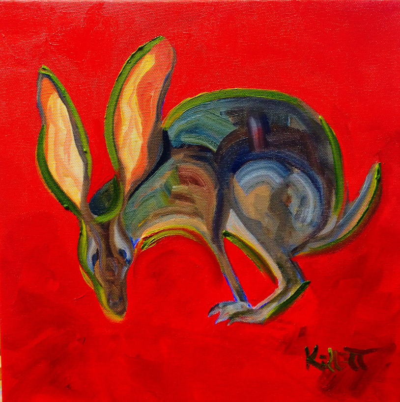 Pam Kellett animal portraits jackalope