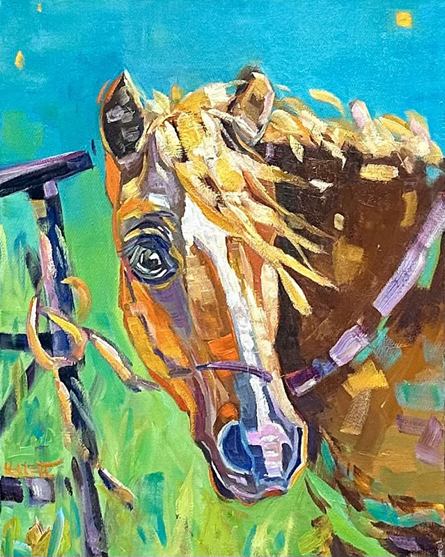 Honey Pam Kellett horse portrait